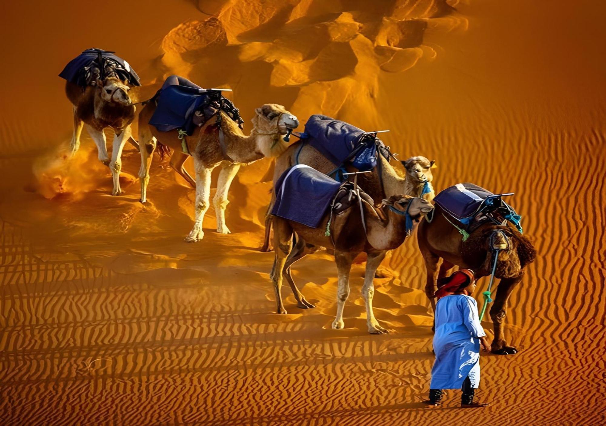 Merzouga Lovely Luxury Camp 외부 사진