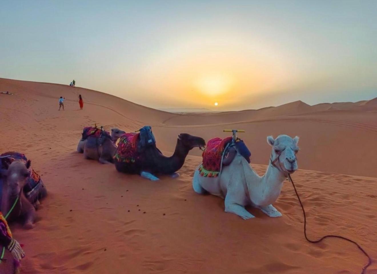 Merzouga Lovely Luxury Camp 외부 사진